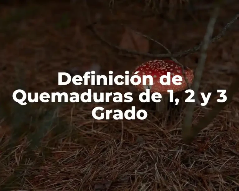Definición de Quemaduras de 1, 2 y 3 Grado