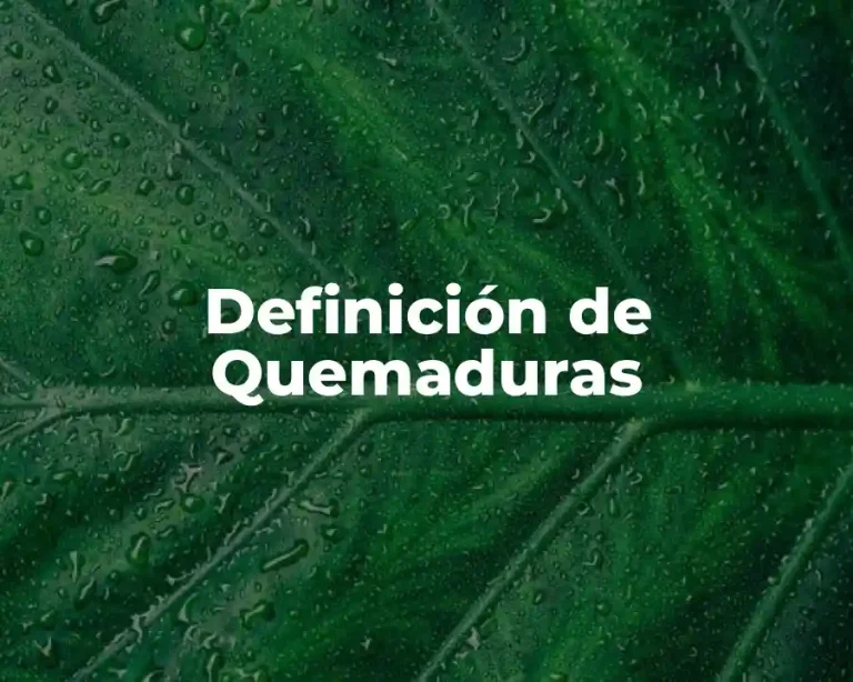 Definición de Quemaduras