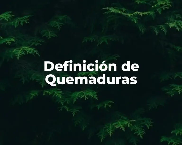 Definición de Quemaduras