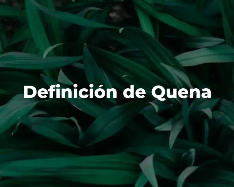 Definición de Quena