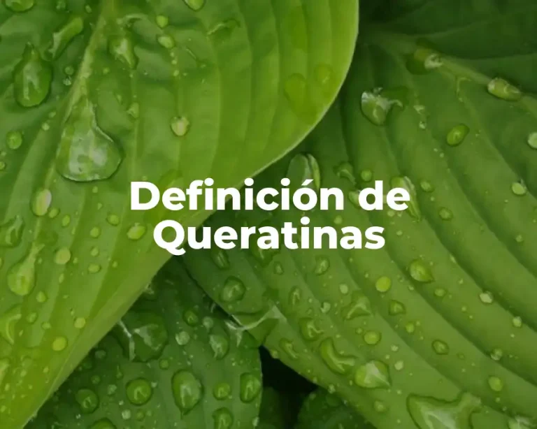 Definición de Queratinas