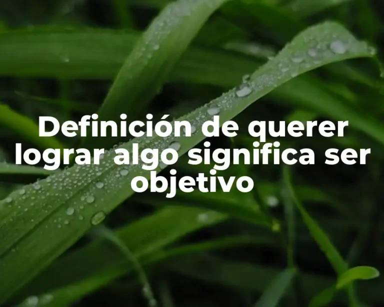 Definición de querer lograr algo significa ser objetivo