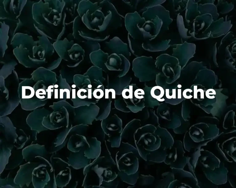 Definición de Quiche