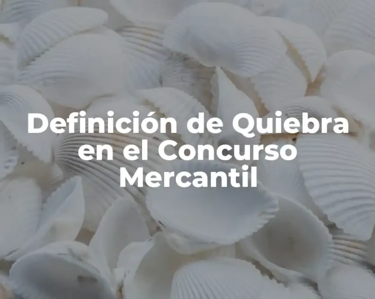 Definición de Quiebra en el Concurso Mercantil