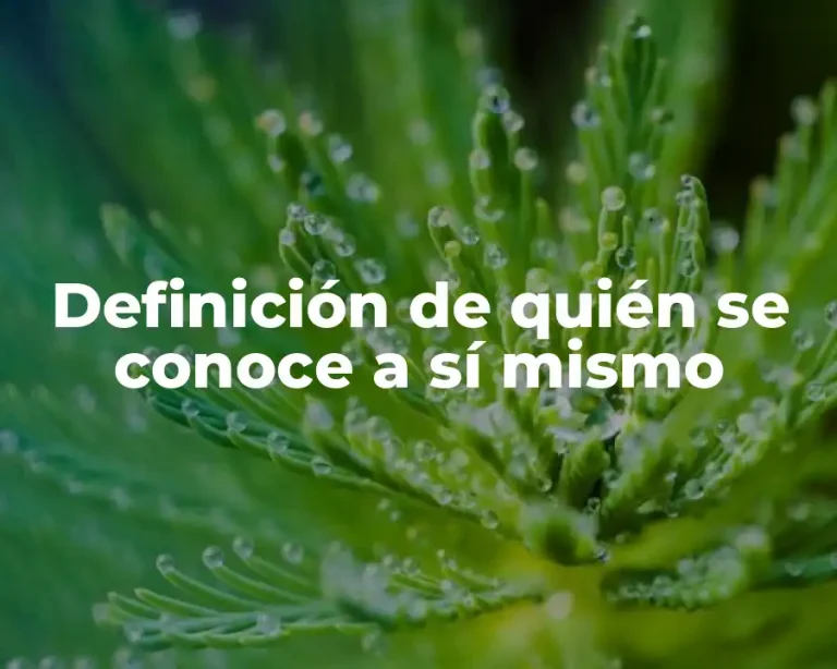 Definición de quién se conoce a sí mismo