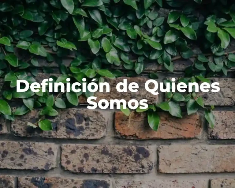 Definición de Quienes Somos