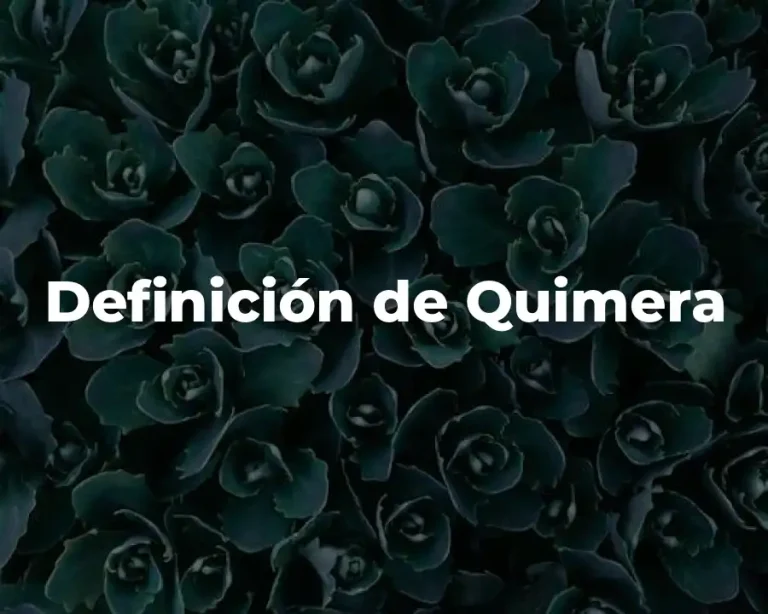 Definición de Quimera