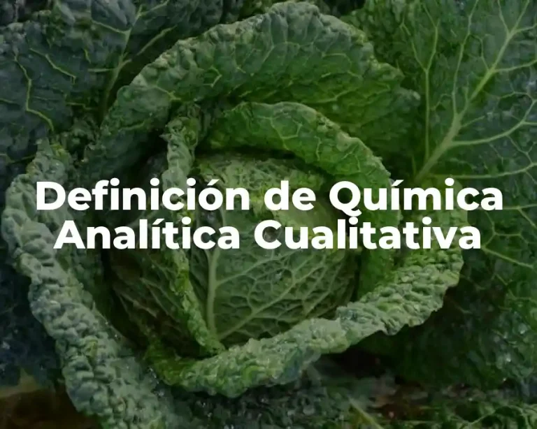 Definición de Química Analítica Cualitativa
