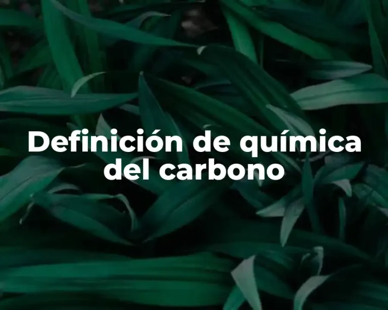 Definición de química del carbono