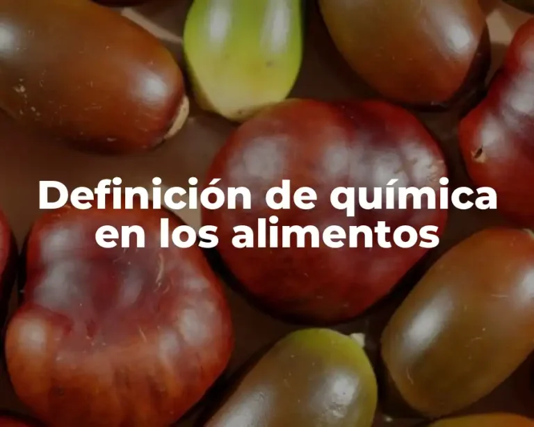 Definición de química en los alimentos