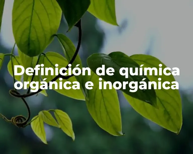 Definición de química orgánica e inorgánica