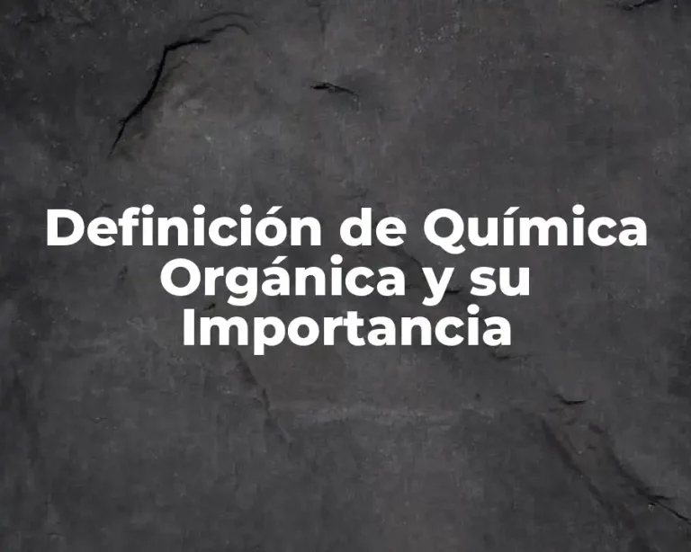 Definición de Química Orgánica y su Importancia