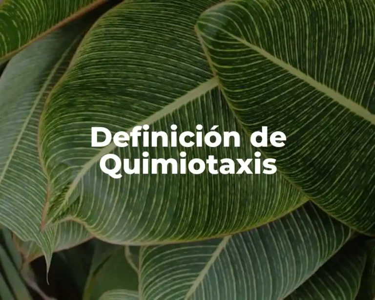 Definición de Quimiotaxis