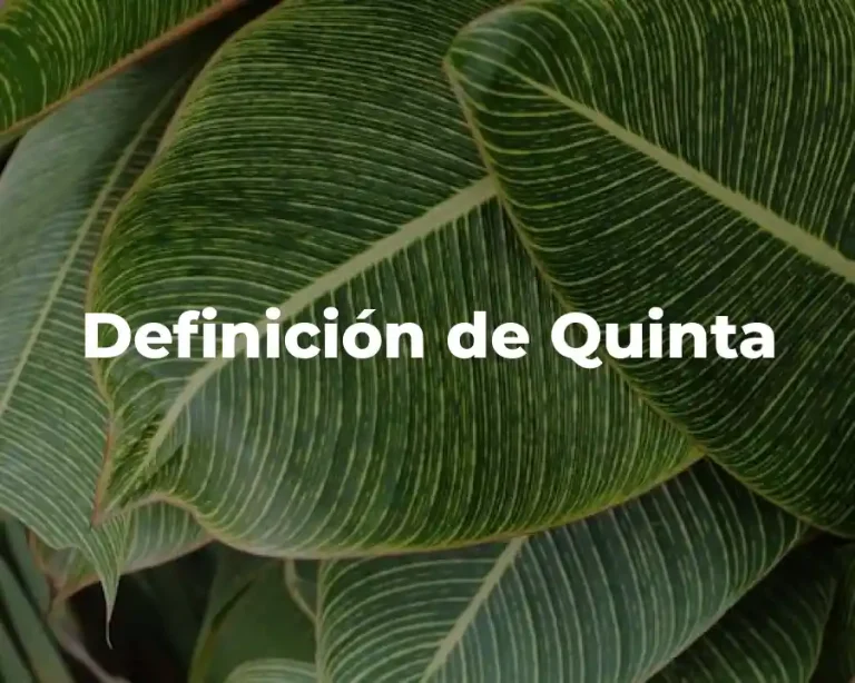 Definición de Quinta