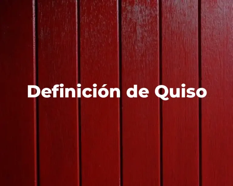 Definición de Quiso