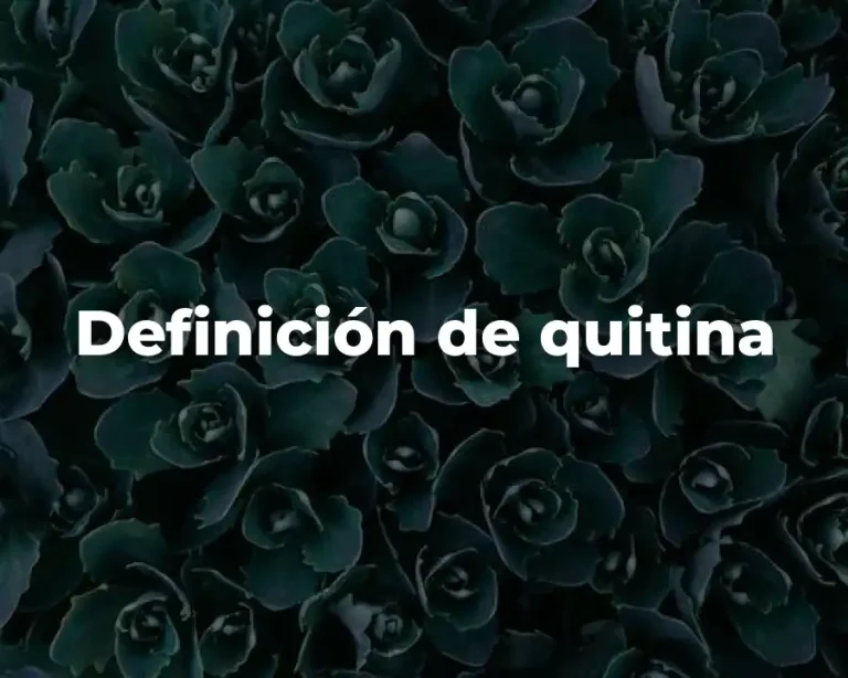 Definición de quitina