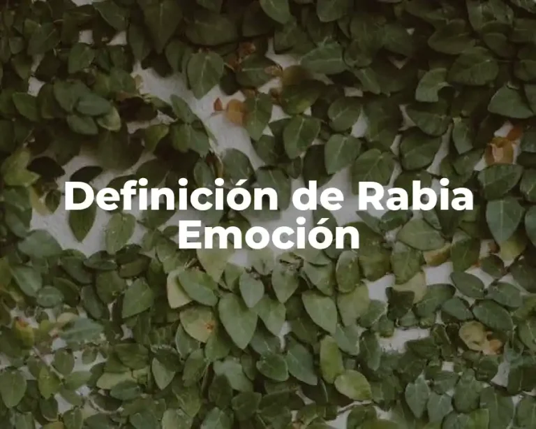 Definición de Rabia Emoción