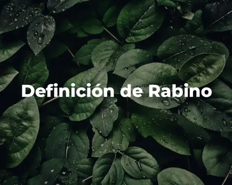 Definición de Rabino