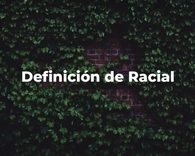 Definición de Racial