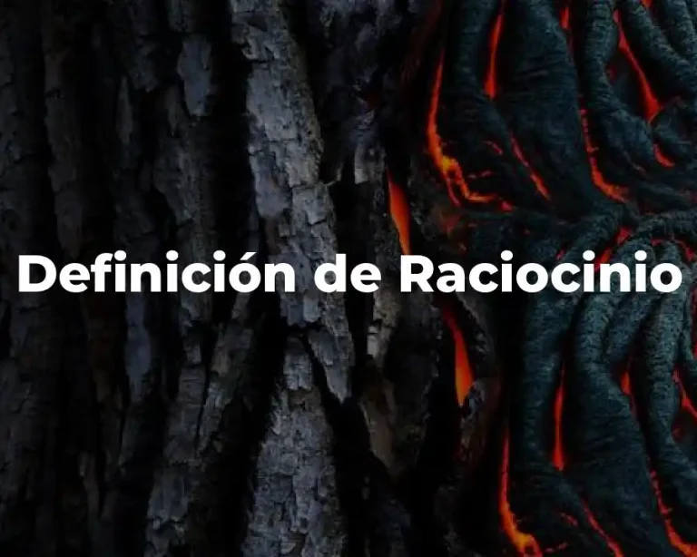 Definición de Raciocinio