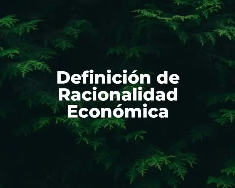 Definición de Racionalidad Económica