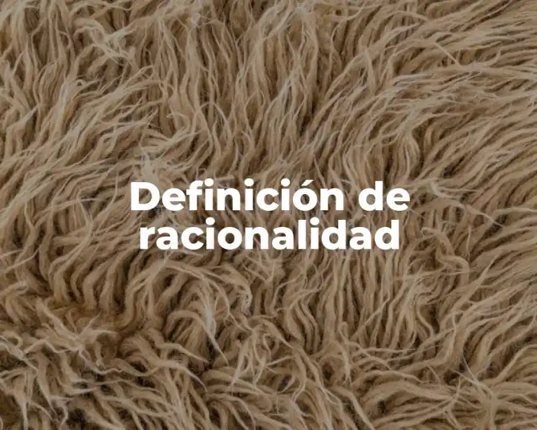 Definición de racionalidad