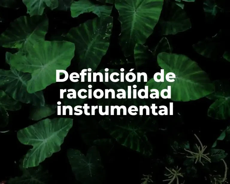 Definición de racionalidad instrumental
