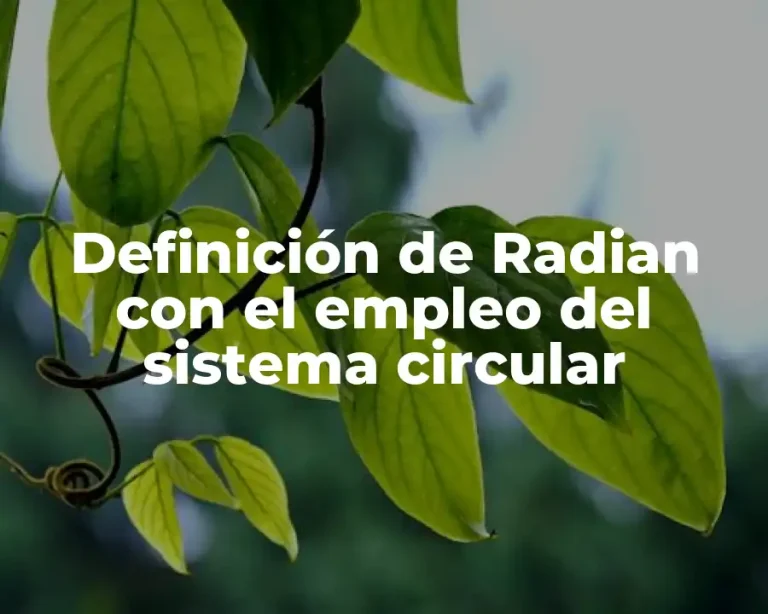 Definición de Radian con el empleo del sistema circular