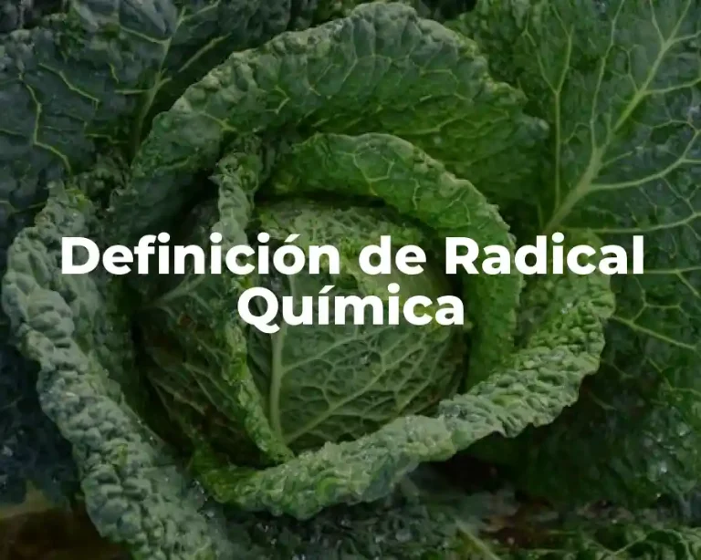 Definición de Radical Química