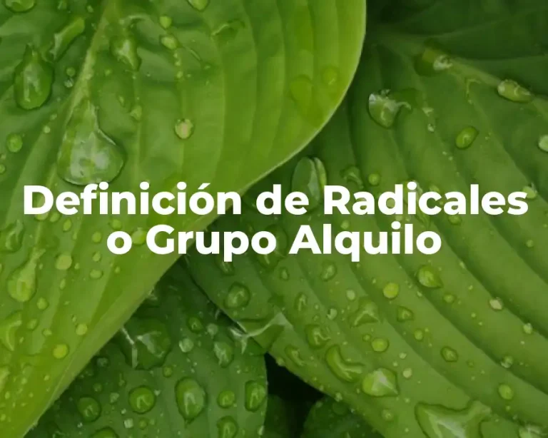 Definición de Radicales o Grupo Alquilo
