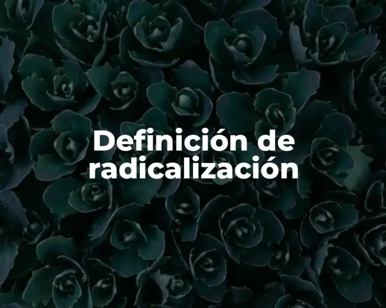 Definición de radicalización