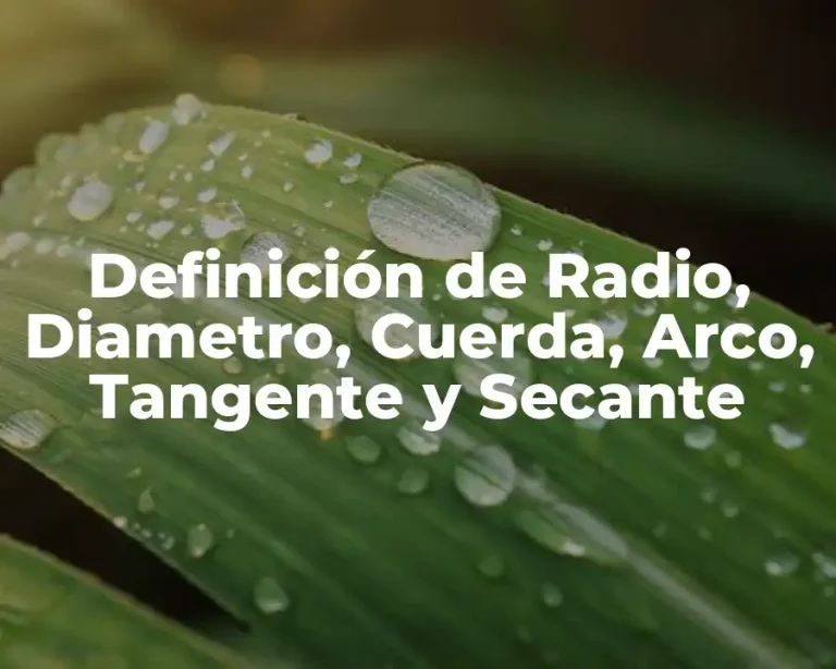 Definición de Radio, Diametro, Cuerda, Arco, Tangente y Secante