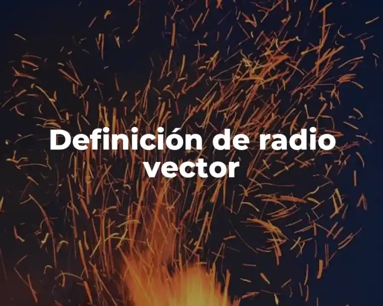 Definición de radio vector