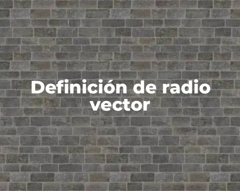 Definición de radio vector