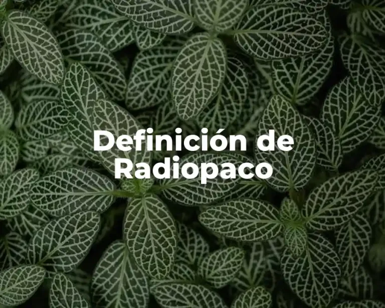 Definición de Radiopaco