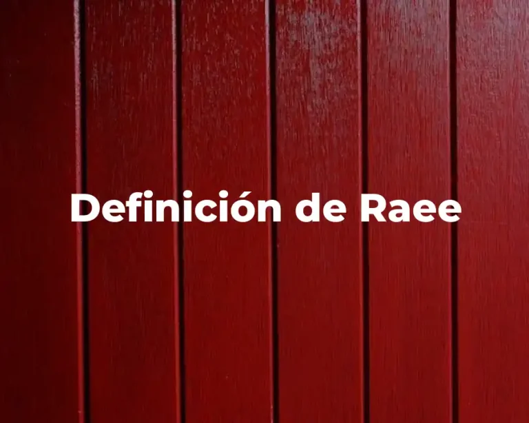 Definición de Raee