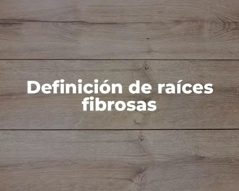 Definición de raíces fibrosas
