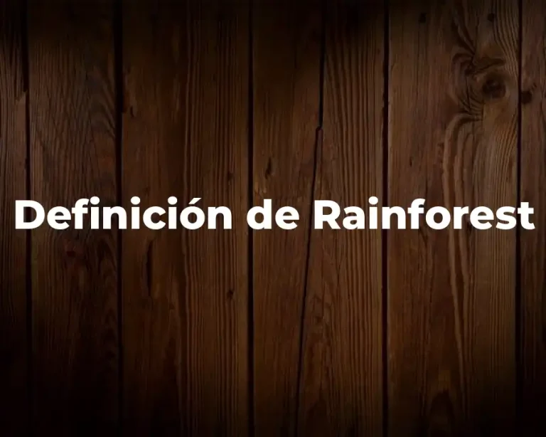 Definición de Rainforest