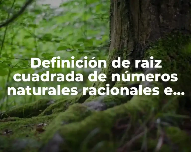 Definición de raiz cuadrada de números naturales racionales e irracionales