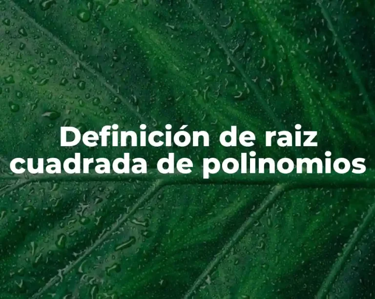 Definición de raiz cuadrada de polinomios