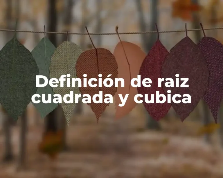 Definición de raiz cuadrada y cubica