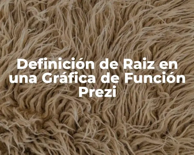 Definición de Raiz en una Gráfica de Función Prezi