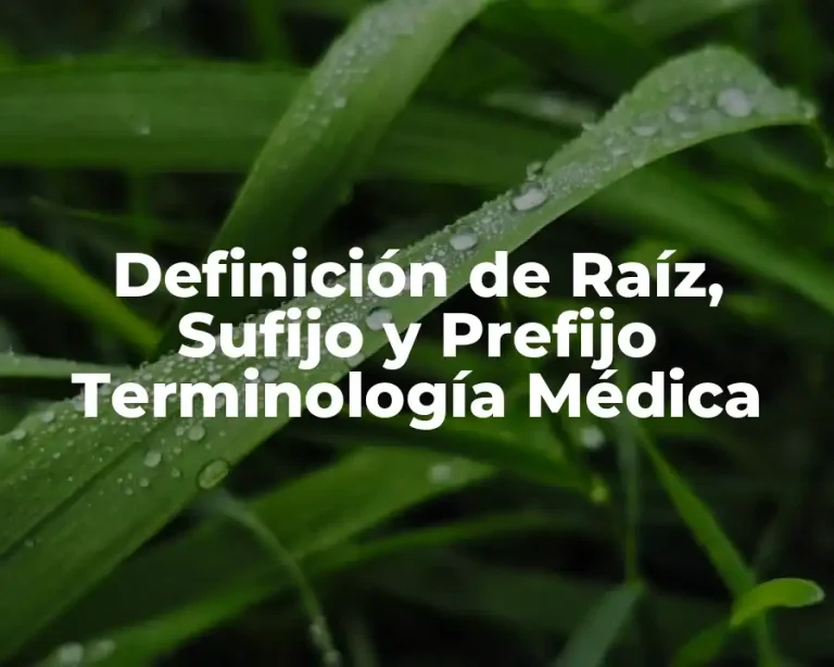 Definición de Raíz, Sufijo y Prefijo Terminología Médica