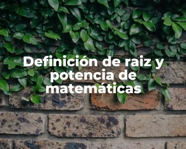 Definición de raiz y potencia de matemáticas