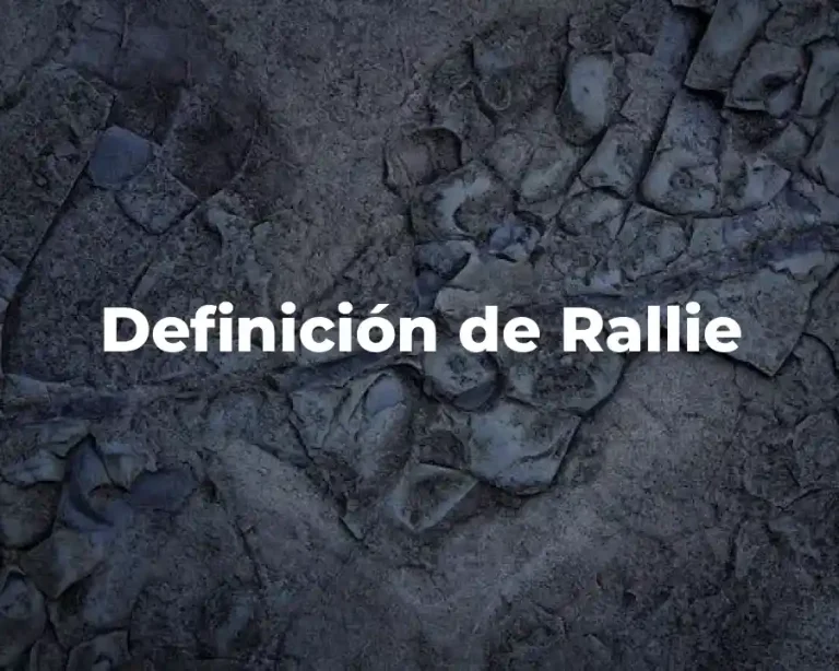 Definición de Rallie