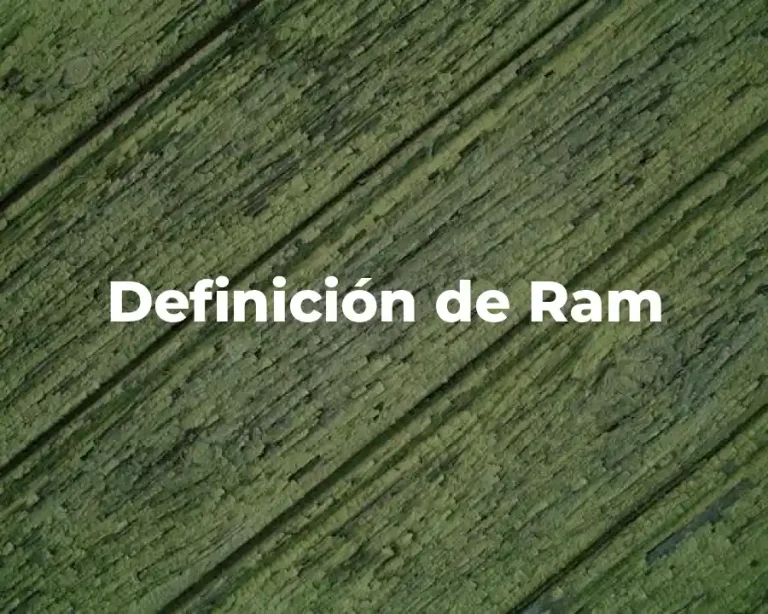 Definición de Ram