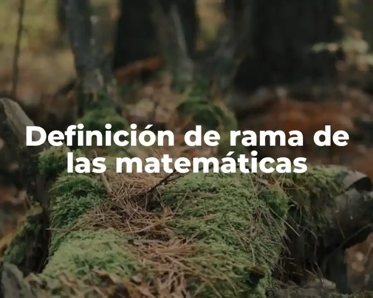 Definición de rama de las matemáticas