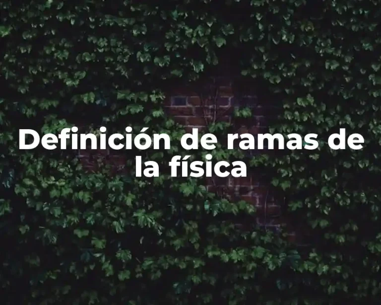 Definición de ramas de la física