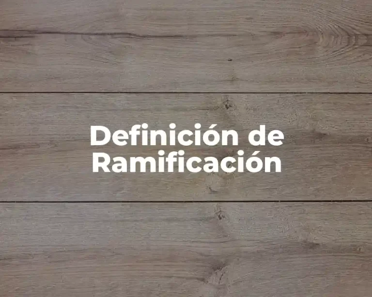 Definición de Ramificación