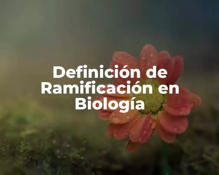 Definición de Ramificación en Biología